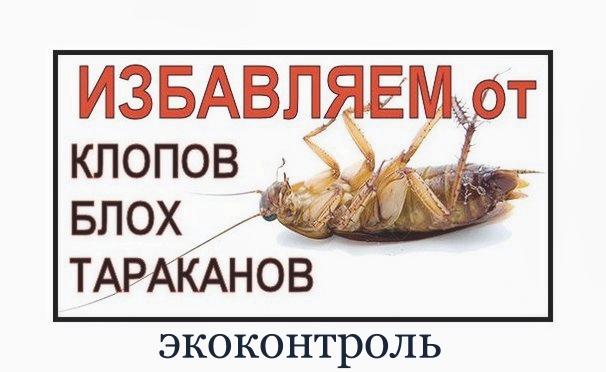 Избиваться от тараканов